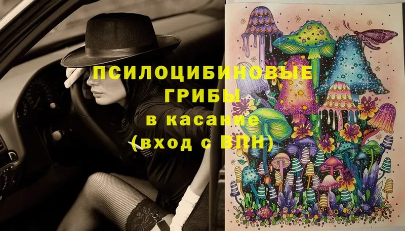 Псилоцибиновые грибы Psilocybine cubensis  купить закладку  Белово 